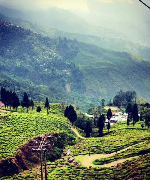Mirik Lake & Tea Garden Tour